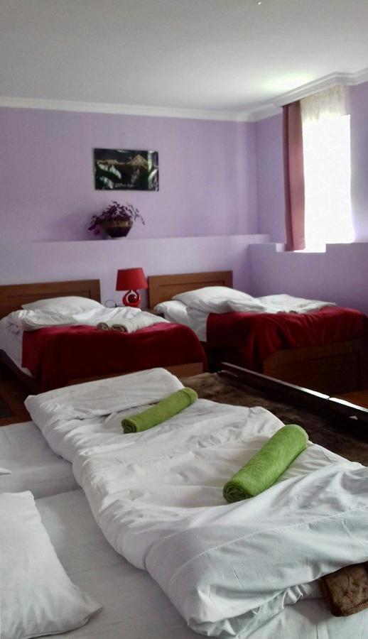 Nino Khetaguri Guest House Stepancminda Exteriér fotografie